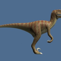 Velociraptor_1