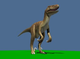 Velociraptor_2