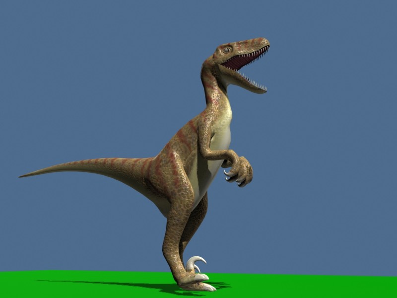 Velociraptor_3